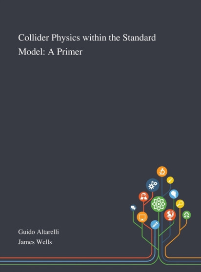 Collider Physics Within the Standard Model : A Primer by Guido Altarelli - Hardback