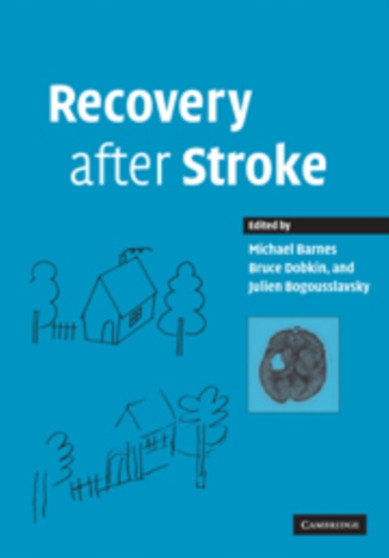 Recovery after Stroke by Michael P. Barnes - Paperback