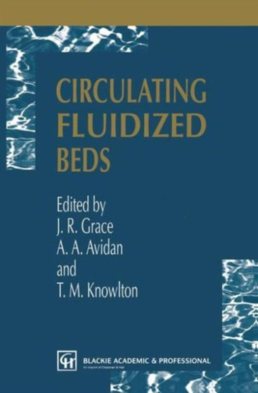 Circulating Fluidized Beds by J.R. Grace - Paperback