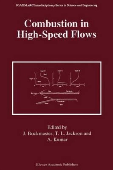 Combustion in High-Speed Flows by Buckmaster John Buckmaster - Paperback
