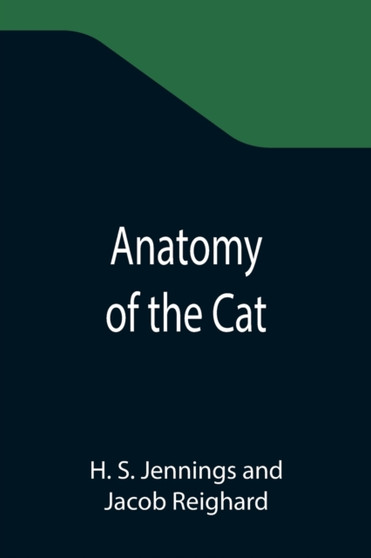 Anatomy of the Cat by H S Jennings - Paperback