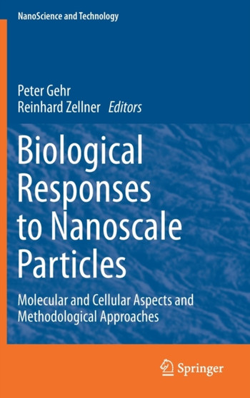 Biological Responses to Nanoscale Particles : Molecular and Cellular Aspects and Methodological Approaches by Peter Gehr - Hardback