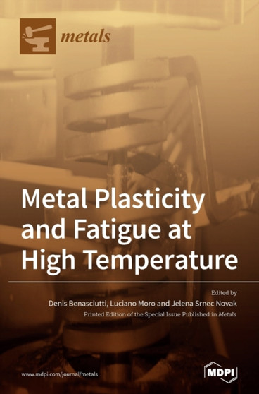 Metal Plasticity and Fatigue at High Temperature by Jelena Srnec Novak - Hardback