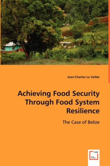 Achieving Food Security Through Food System Resilience by Jean-Charles Le Vallee - Paperback