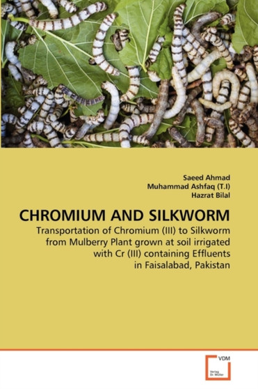 Chromium and Silkworm by Saeed Ahmad - Paperback