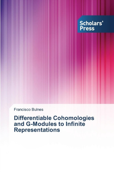 Differentiable Cohomologies and G-Modules to Infinite Representations by Bulnes Francisco - Paperback