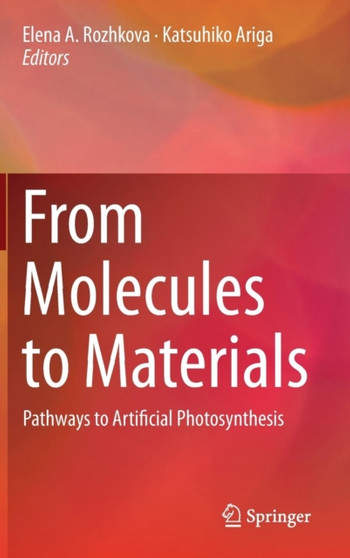 From Molecules to Materials : Pathways to Artificial Photosynthesis by Elena A. Rozhkova - Hardback