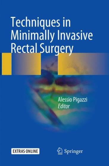Techniques in Minimally Invasive Rectal Surgery by Alessio Pigazzi - Paperback