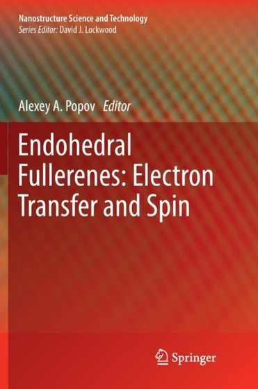 Endohedral Fullerenes: Electron Transfer and Spin by Alexey A. Popov - Paperback