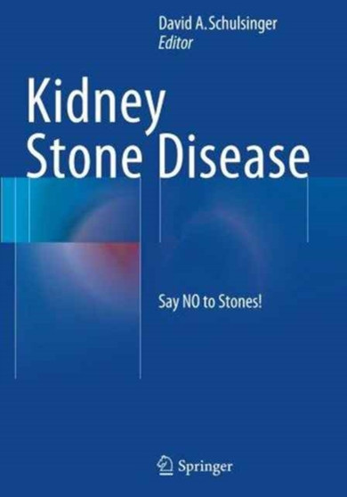 Kidney Stone Disease : Say NO to Stones! by David A. Schulsinger - Paperback