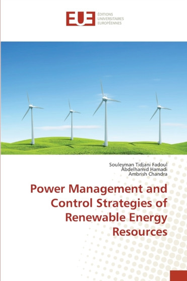 Power Management and Control Strategies of Renewable Energy Resources by Souleyman Tidjani Fadoul - Paperback