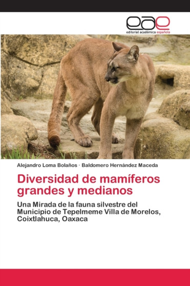Diversidad de mamiferos grandes y medianos by Alejandro Loma Bolanos - Paperback