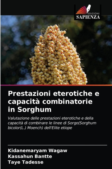 Prestazioni eterotiche e capacita combinatorie in Sorghum by Kidanemaryam Wagaw - Paperback