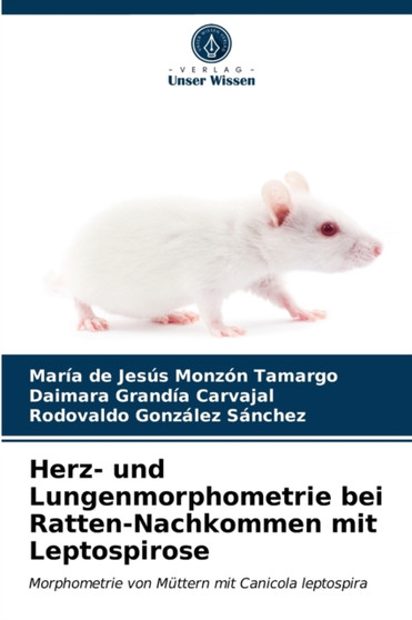 Herz- und Lungenmorphometrie bei Ratten-Nachkommen mit Leptospirose by Maria de Jesus Monzon Tamargo - Paperback