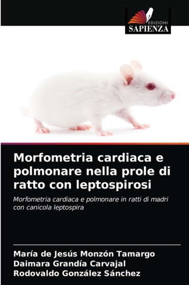 Morfometria cardiaca e polmonare nella prole di ratto con leptospirosi by Maria de Jesus Monzon Tamargo - Paperback