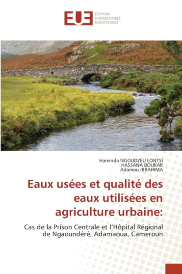 Eaux usees et qualite des eaux utilisees en agriculture urbaine by Hareinda Ngoudzeu Lontsi - Paperback