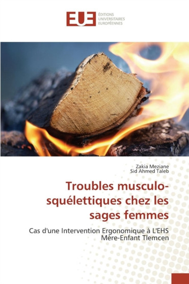 Troubles Musculo-Squelettiques Chez Les Sages Femmes by Collectif - Paperback