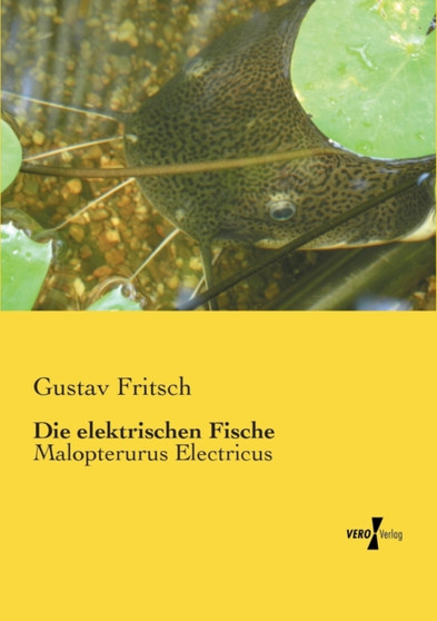 Die elektrischen Fische : Malopterurus Electricus by Gustav Fritsch - Paperback
