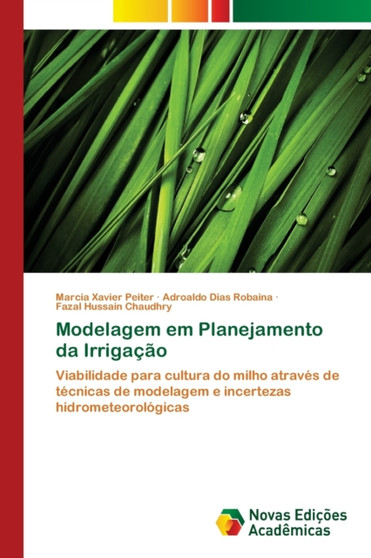 Modelagem em Planejamento da Irrigacao by Marcia Xavier Peiter - Paperback