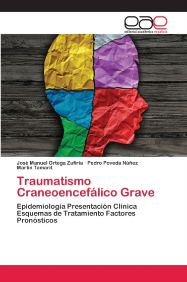 Traumatismo Craneoencefalico Grave by Jose Manuel Ortega Zufiria - Paperback