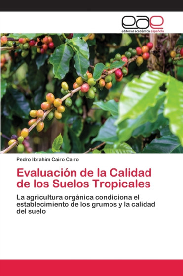 Evaluacion de la Calidad de los Suelos Tropicales by Pedro Ibrahim Cairo Cairo - Paperback
