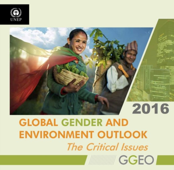 Global gender and environment outlook 2016 : the critical issues by United Nations Environment Programme - Paperback