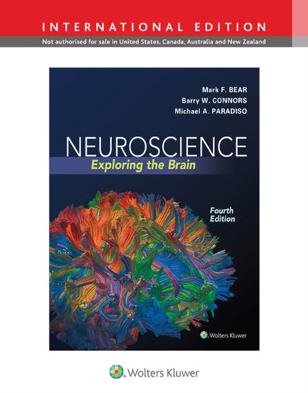 Neuroscience : Exploring the Brain by Mark PhD Bear - Hardback