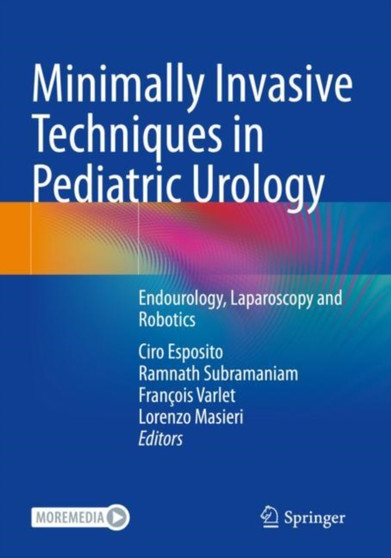 Minimally Invasive Techniques in Pediatric Urology : Endourology, Laparoscopy and Robotics by Ciro Esposito - Paperback