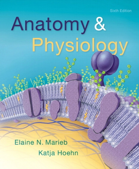 Anatomy & Physiology by Elaine N. Marieb - Hardback