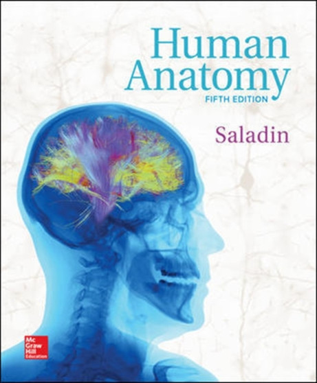 Human Anatomy by Kenneth Saladin - Hardback