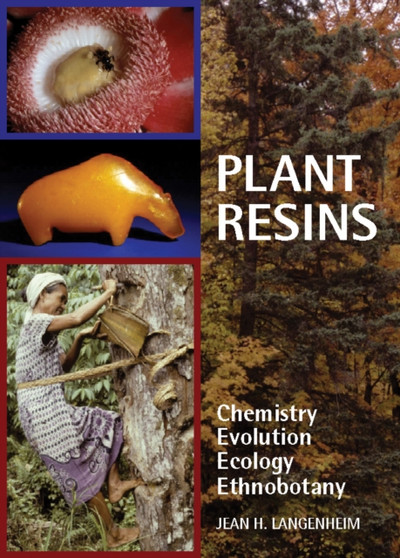 Plant Resins : Chemistry, Evolution, Ecology, and Ethnobotany by Jean H. Langenheim - Hardback