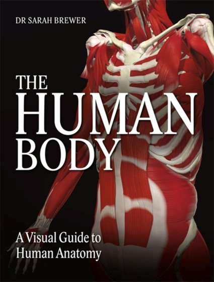 The Human Body : A Visual Guide to Human Anatomy by Dr Sarah Brewer - Hardback