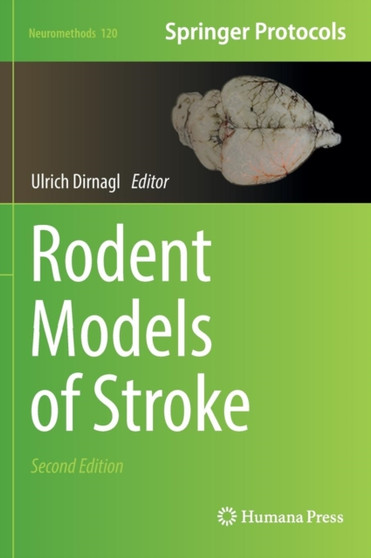 Rodent Models of Stroke : 120 by Ulrich Dirnagl - Hardback