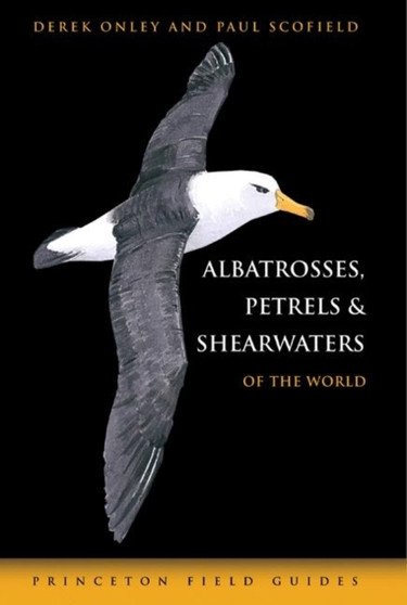 Albatrosses, Petrels and Shearwaters of the World by Derek Onley - Paperback
