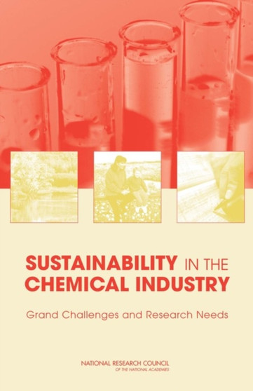 Sustainability in the Chemical Industry : Grand Challenges and Research Needs, A Workshop Report by National Academy of Sciences - Paperback
