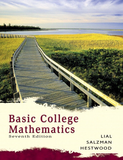 Basic College Mathematics by Stanley Salzman - Paperback