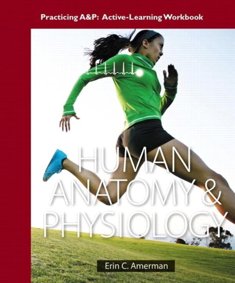 Practicing A&P Workbook for Human Anatomy & Physiology by Erin C. Amerman - Paperback