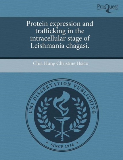 Optimization Problems in Weighted Regions by Chia Hung Christine Hsiao - Paperback