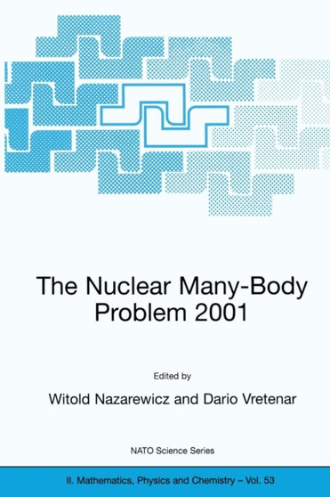 The Nuclear Many-Body Problem 2001 : 53 by Witold Nazarewicz - Paperback