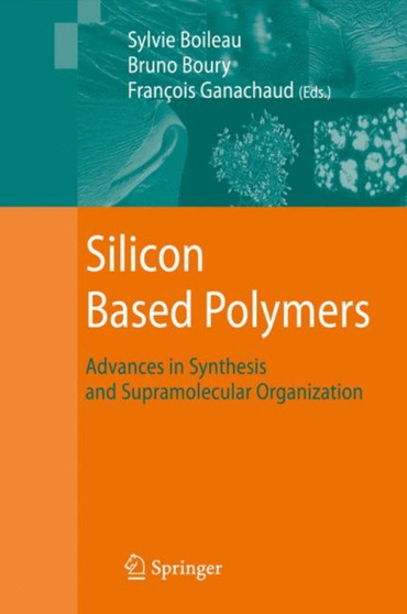 Silicon Based Polymers : Advances in Synthesis and Supramolecular Organization by Francois Ganachaud - Hardback