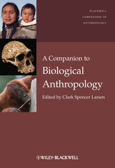 Companion to Biological Anthropology by CS Larsen - Hardback
