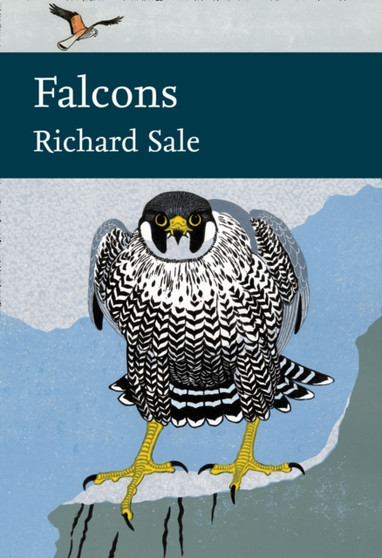 Falcons by Richard Sale - Hardback