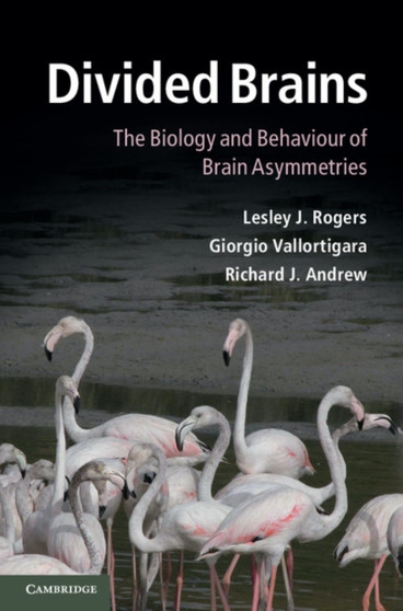 Divided Brains : The Biology and Behaviour of Brain Asymmetries by Lesley J. Rogers - Hardback