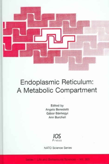 Endoplasmic Reticulum : A Metabolic Compartment : v. 363 by A. Benedetti - Hardback