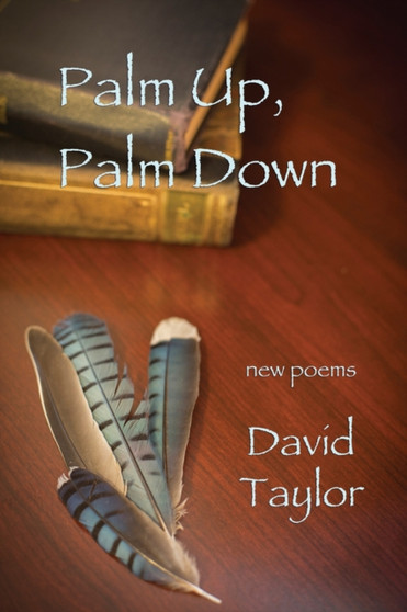 Palm Up, Palm Down by David Taylor - Paperback