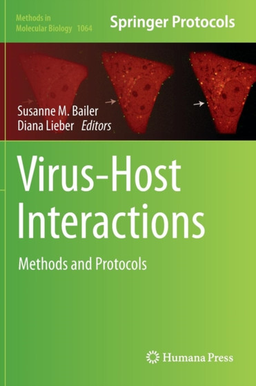 Virus-Host Interactions : Methods and Protocols : 1064 by Susanne M. Bailer - Hardback