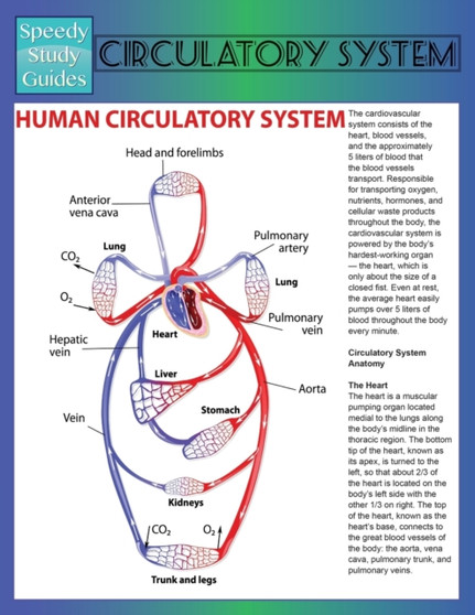 Circulatory System (Speedy Study Guide) by Speedy Publishing LLC - Paperback
