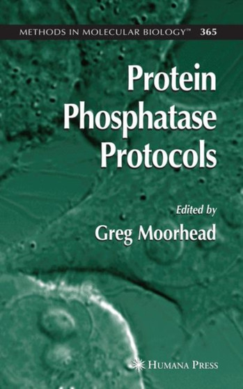 Protein Phosphatase Protocols : 365 by Greg PhD Moorhead - Paperback