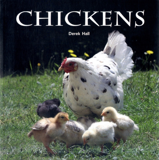 CHICKENS by DEREK HALL - Paperback