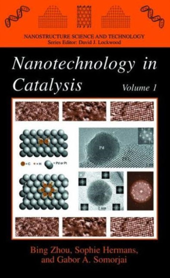 Nanotechnology in Catalysis by Bing Zhou - Paperback